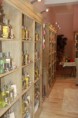 /album/galleria-foto-homepage/img-3728-jpg/
